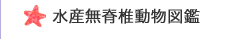 水産無脊椎動物図鑑