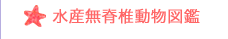 水産無脊椎動物図鑑