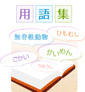 用語集