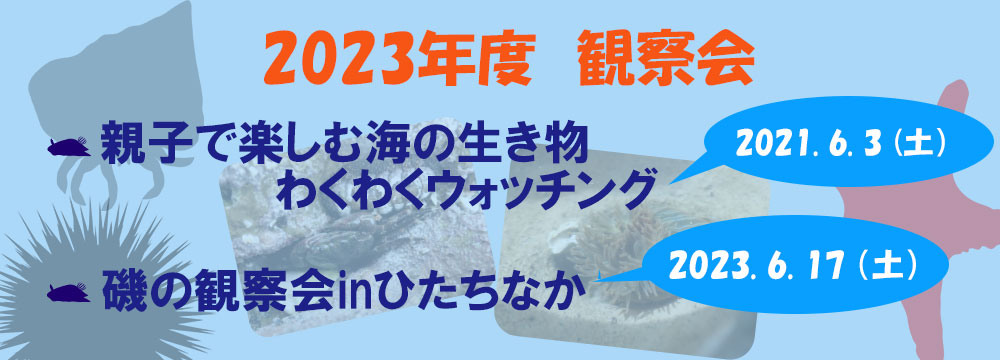 イベント案内