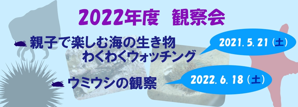 水産無脊椎動物研究所