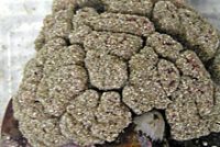 スナモチボヤ？