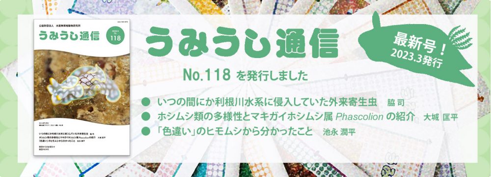 うみうし通信