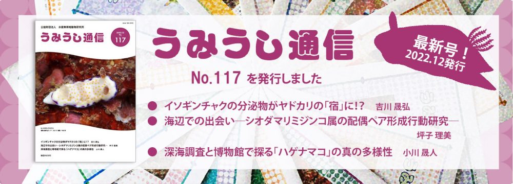 うみうし通信
