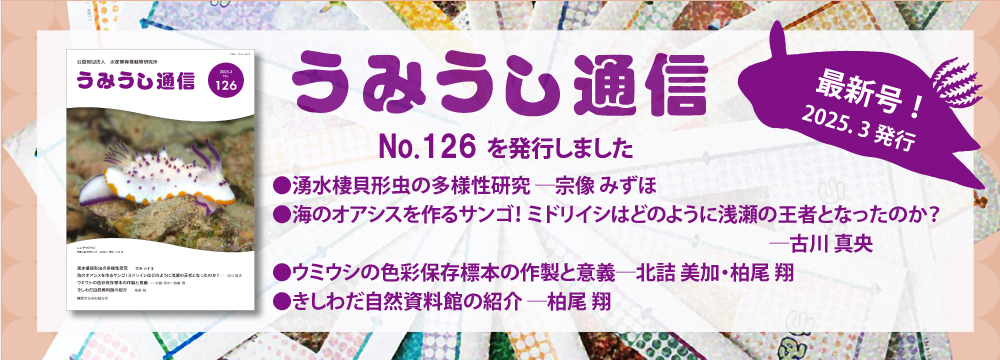 うみうし通信