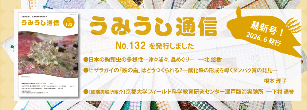 うみうし通信