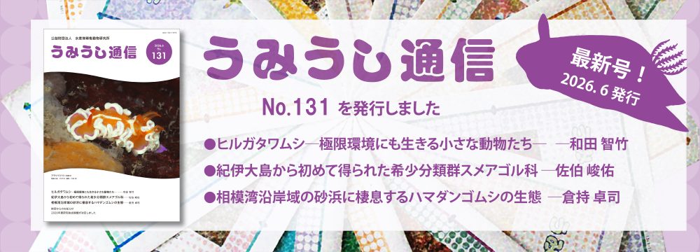 うみうし通信